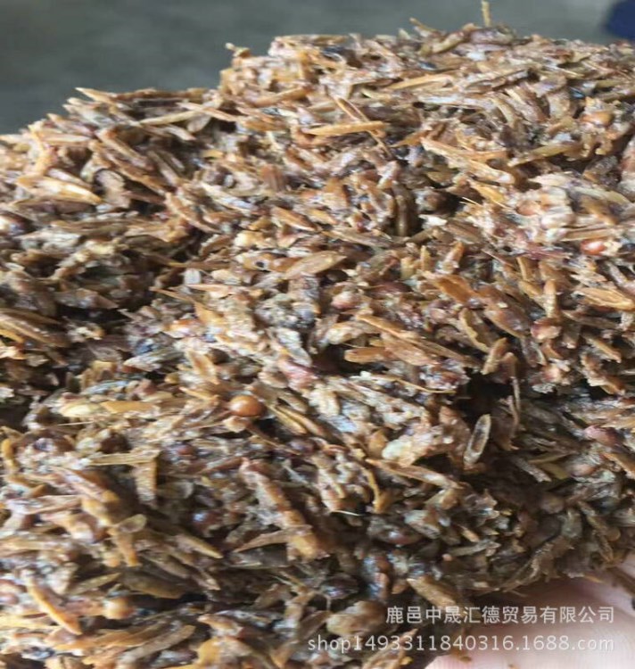 供應(yīng)微生物發(fā)酵產(chǎn)物　原糧濕白酒糟丁鮭魚(yú)飼料