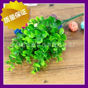 廠家供應(yīng) 葉水草植物仿真絹花假花 7叉35頭大葉尤加利