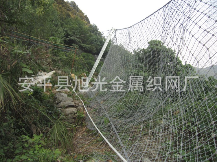 邊坡防護網 柔性被動防護網  廠家直銷護欄網 質優價廉