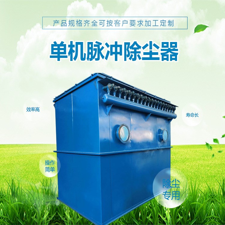 生產廠家 工業(yè)除塵器小型脈沖布袋除塵器批發(fā)水泥倉頂粉塵除塵器