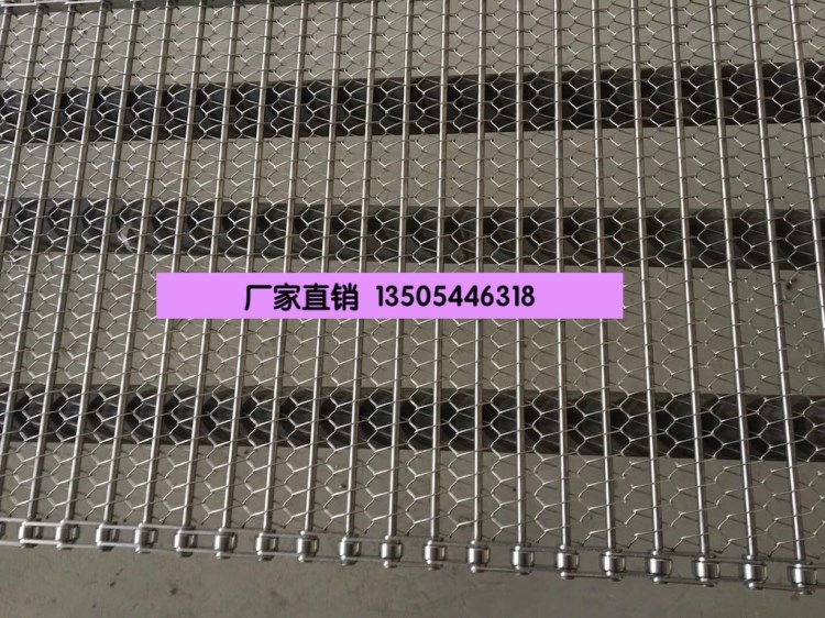 廠家定做不銹鋼 碳鋼鏈板 板式鏈 網(wǎng)式鏈 提升 過濾 分揀 烘干輸
