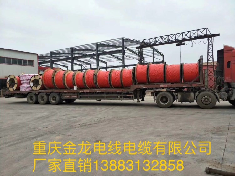 重慶電線電纜BVR185平方電線多股銅軟線國(guó)標(biāo)電線電纜生產(chǎn)廠家