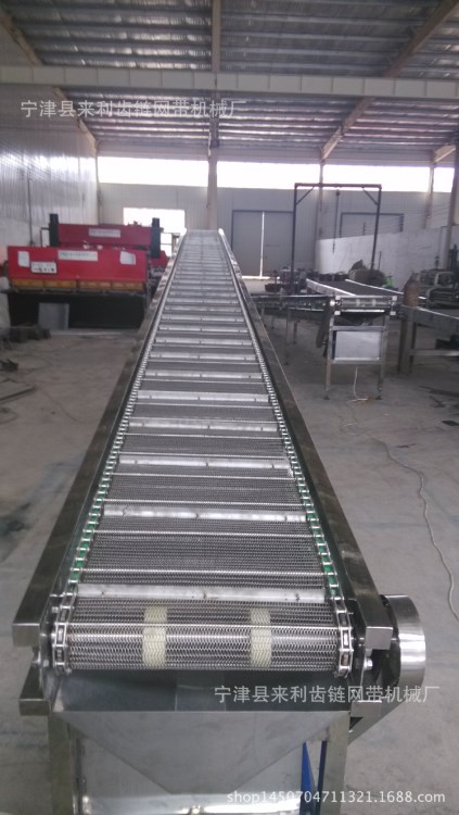 【定制】食品行業專用的304不銹鋼鏈網式蔬菜清洗輸送機
