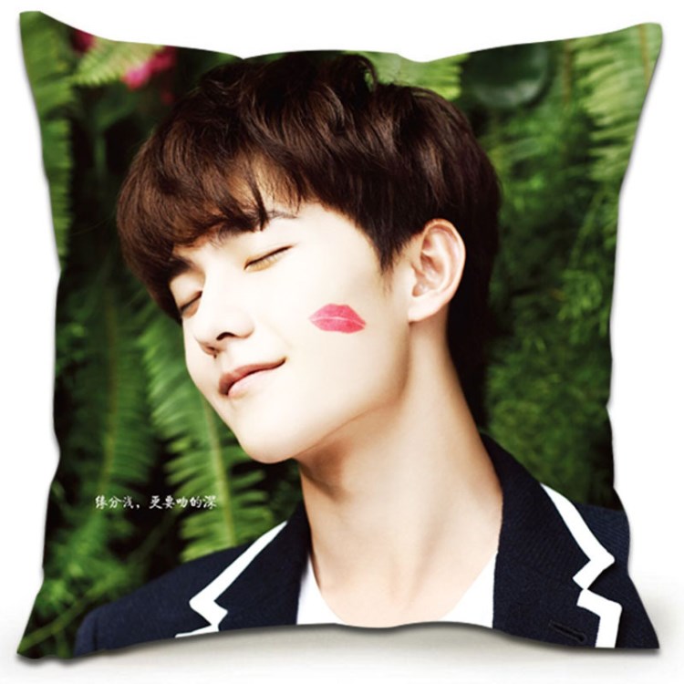 瑟姿DIY照片來圖雙面定制定做可印自己的圖片生日楊洋床上抱枕