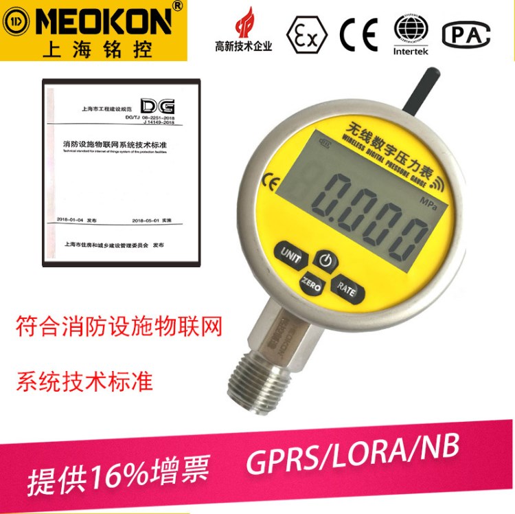 智能无线压力表GPRS/LORa/NB传输无线压力变送器电源供电传感器