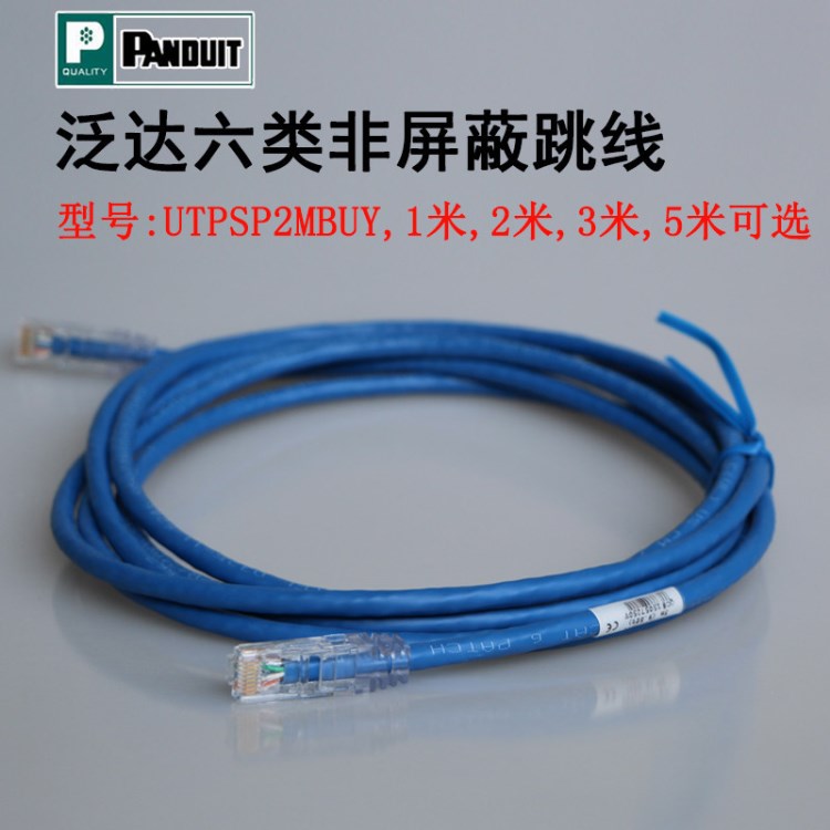 泛達(dá)超五類跳線 PANDUIT超5類非屏蔽RJ45網(wǎng)絡(luò)跳線10米UTPCH10MBUY