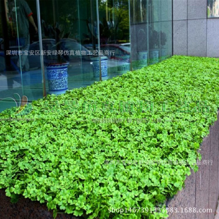 实力工厂直销假塑料植物墙 塑料植物工艺品 室内装修植物装饰品