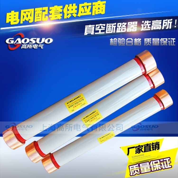 RN2-10 RN2-12 RN2-35 40.5/0. 1A 10A 20A戶內高壓限流熔斷器