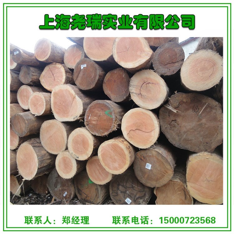 高品质花旗松 高端木材 家具级 厂家直销 尧瑞实业