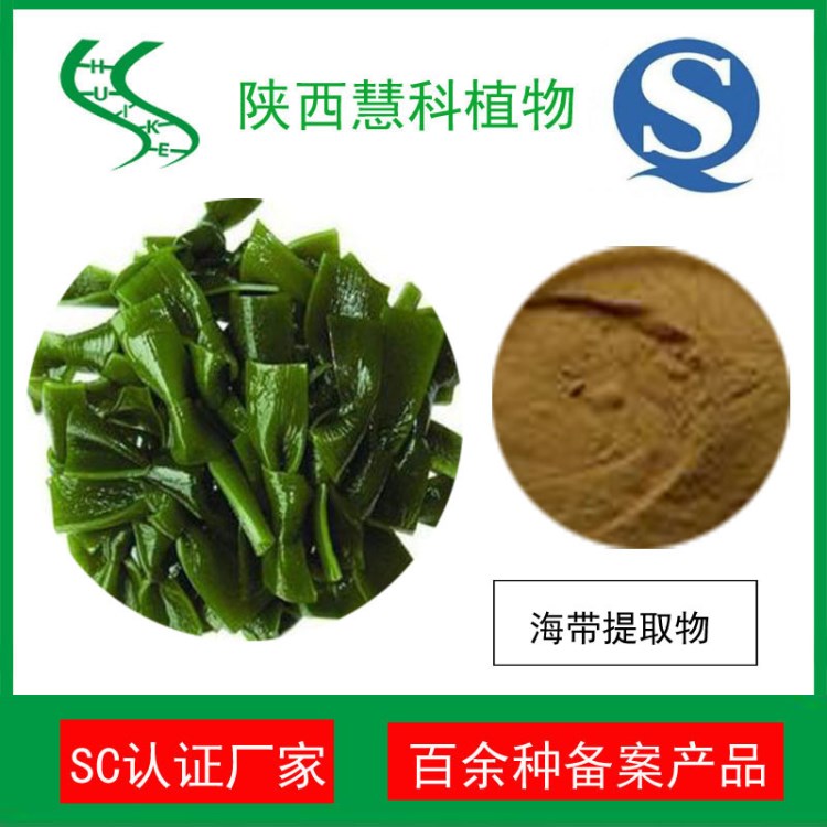 海帶提取物10:1  海帶多糖 SC廠家 陜西慧科植物 專