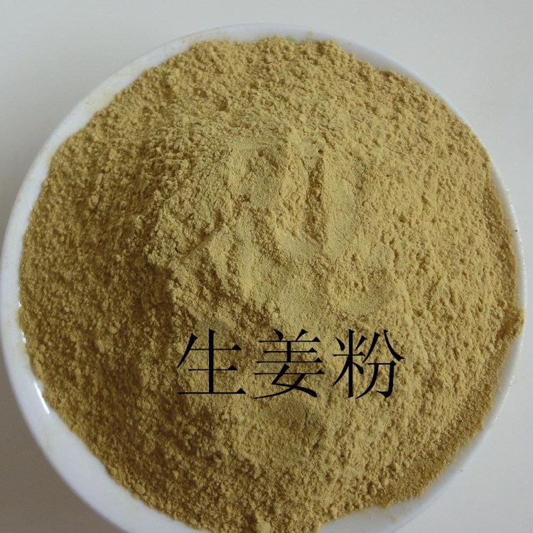 廠家供應(yīng)脫水生姜粉 老姜粉 食品級 辣度高 物