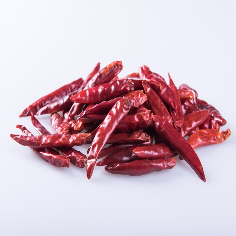 红辣椒 特辣辣椒,超辣小辣椒,厂家出货,供火锅店
