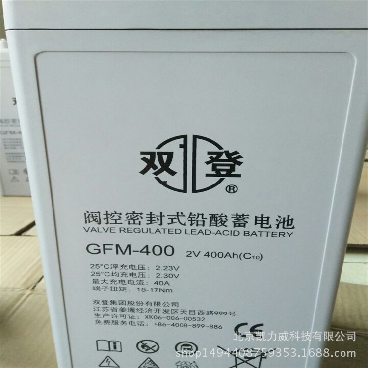 雙登蓄電池6-GFM-100免維護蓄電瓶12V100AH包郵