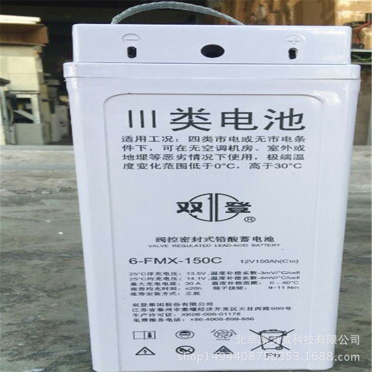 狹長型雙登蓄電池6-FMX-100A免維護儲能蓄電瓶12V100AH