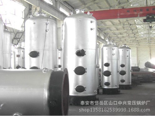 0.5噸燃煤蒸汽鍋爐報(bào)價(jià) 洗滌專用鍋爐 洗衣廠專用蒸汽鍋爐