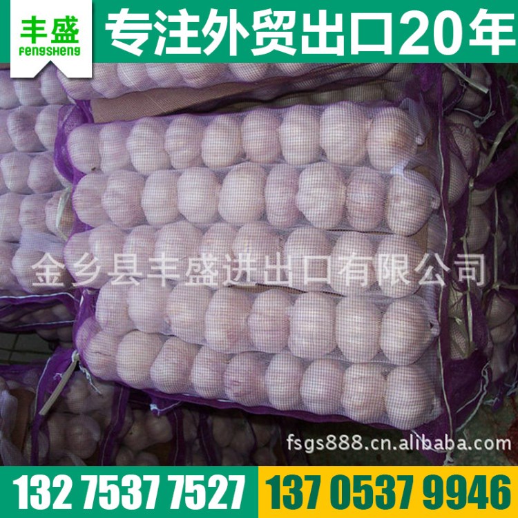 生產供應 保鮮白大蒜 金鄉大蒜出口 網袋包裝蒜頭批發