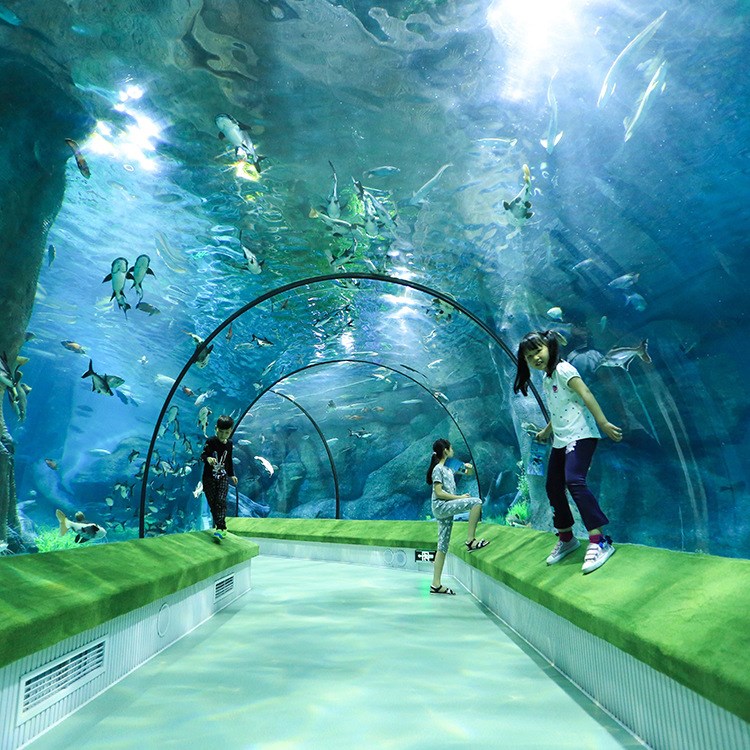 海底世界亞克力承接大型隧道工程 免費設計海洋館亞克力隧道