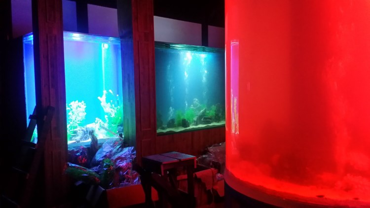 水族館魚(yú)缸定做水族長(zhǎng)廊大型魚(yú)缸工程圓柱體亞克力魚(yú)缸定做