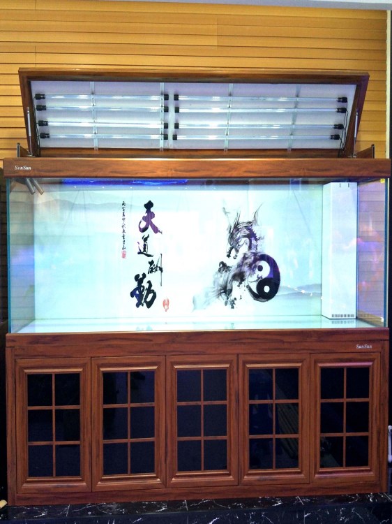 森森H2G大型新款式魚缸 規(guī)格型號(hào)多 雙層過濾凈水時(shí)間長(zhǎng)