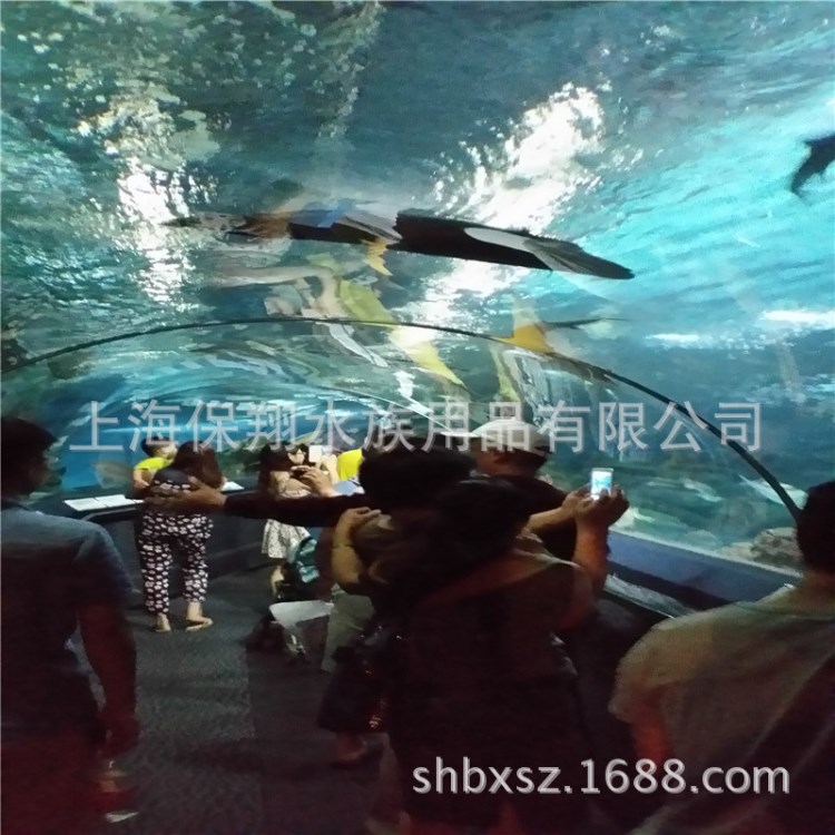 水族館魚缸大型海洋工程亞克力魚缸水族養(yǎng)護(hù)工程魚缸定做