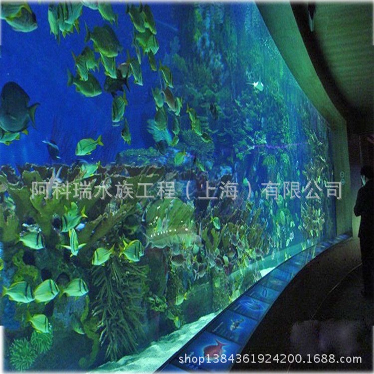 厂家直销安装海洋馆工程 大型海水亚克力水族箱 有机玻璃鱼缸