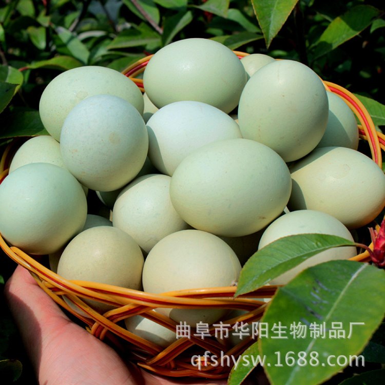 加盟區域招商 ，尋求合作伙伴 農村創業小項目