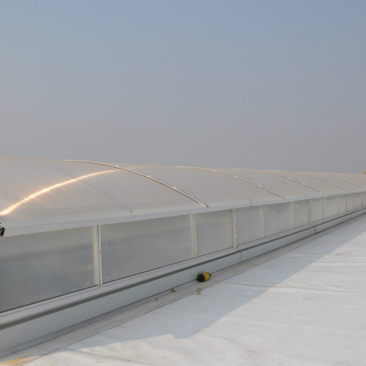 PC陽光板4mm 6mm 8mm 10mm 12mm 透明 藍色 綠色 茶色 乳白色