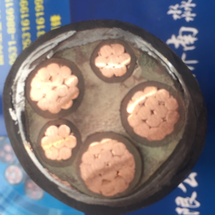 津達線纜YJV22/VV22-3*16+2*10國標鎧裝埋地銅芯電力電纜 現貨