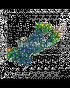 抗原Human CA19-9 Antigen Grade