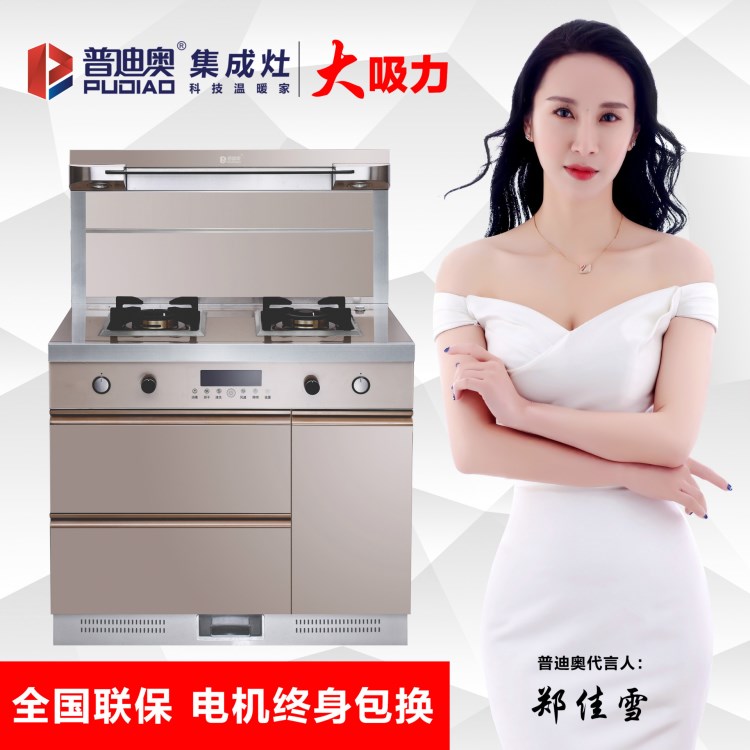 普迪奧集成灶A(yù)9 蒸汽清洗 隱形定時(shí)  45度恒溫箱設(shè)計(jì)