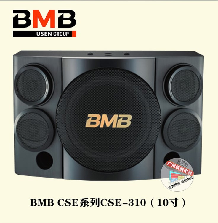 防偽查詢 BMB CSE-310 10寸卡拉OK音箱 家庭 K歌 演出音響