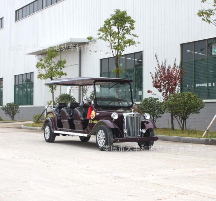 海南旅游觀光車  品牌電動(dòng)觀光車報(bào)價(jià)  電瓶觀光車