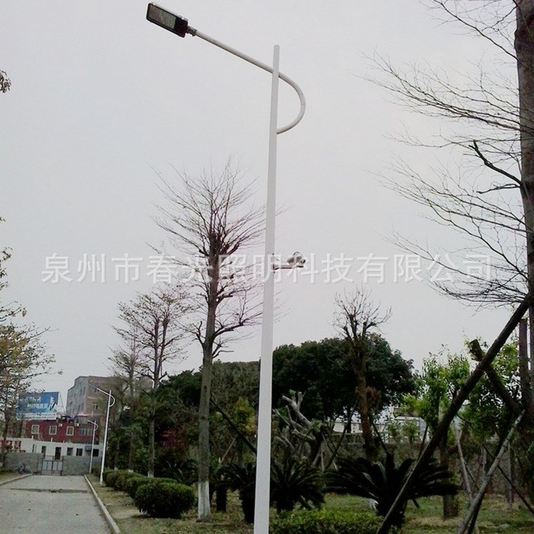 9米80W单臂led路灯 户外道路照明灯  春光路灯厂家直销 品质