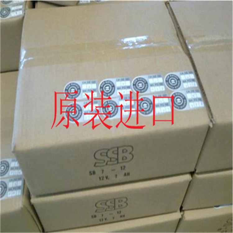 德國SSB膠體蓄電池SBLFG100-12i 長壽命免維護(hù)12V100AH 全國聯(lián)保