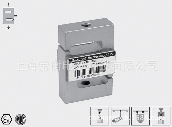 美國傳力電子BSS系列  量程100kg-10t  配料秤 皮帶秤稱重傳感器