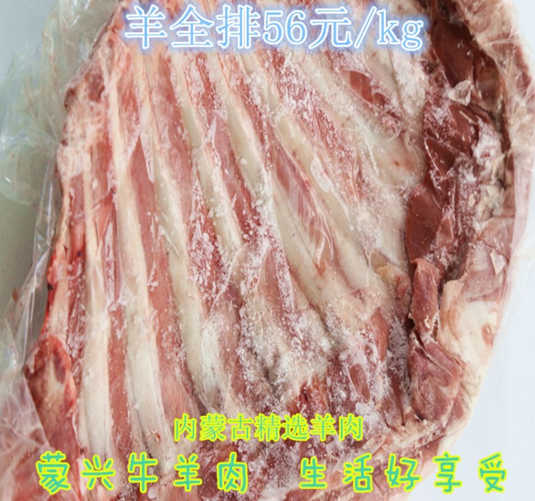 内蒙古羔羊排 清真牛羊肉 生鲜羔羊全排 冷冻生鲜羊肉批发销售