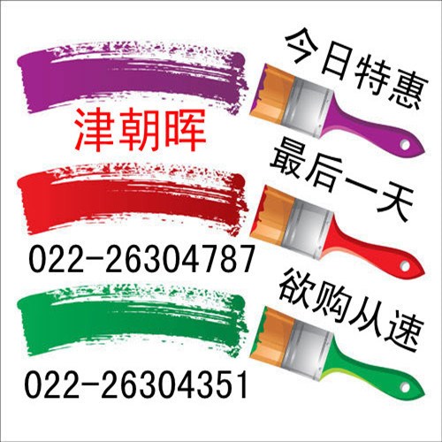 津朝暉牌 彈性漆 廠家直銷
