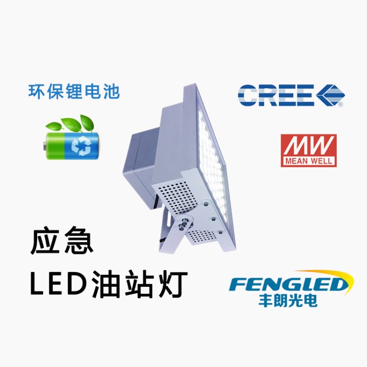 100W_應(yīng)急LED油站燈_應(yīng)急加油站燈_應(yīng)急罩棚燈_消防應(yīng)急油站燈