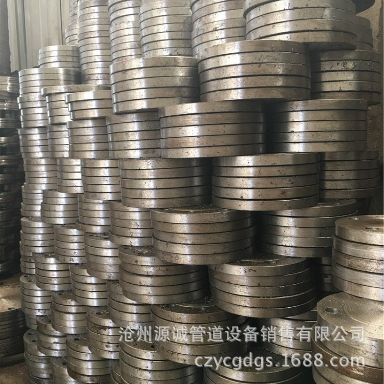 廠家直銷 不銹鋼304平焊突面法蘭SS PL RF PN6 PN10 PN16 可定做