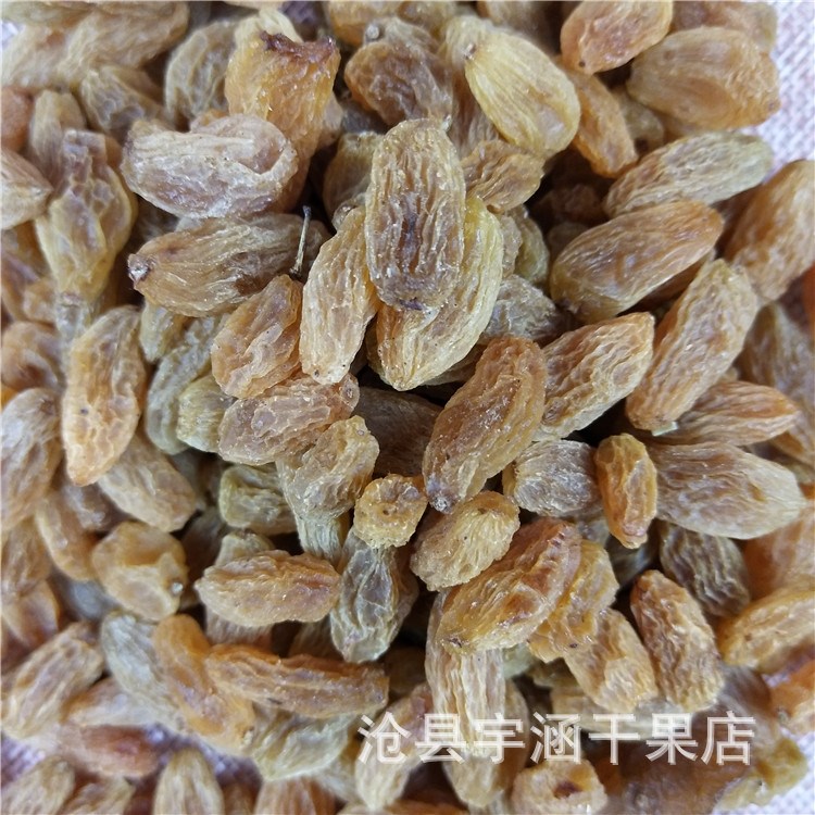 現(xiàn)貨供應新疆特產(chǎn)大粒綠香妃葡萄干 吐魯番無核綠提子干 500g