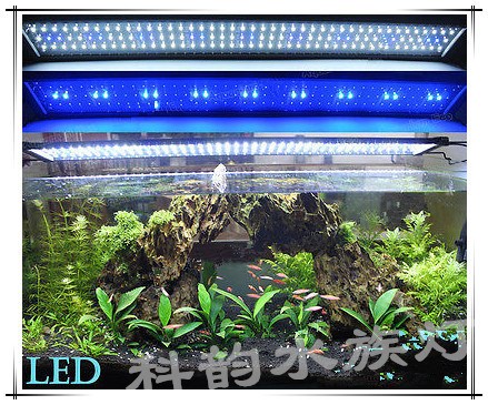 2835貼片LED水族燈 節(jié)能魚缸拉桿支架燈 藍白兩檔設計 外貿(mào)專用款