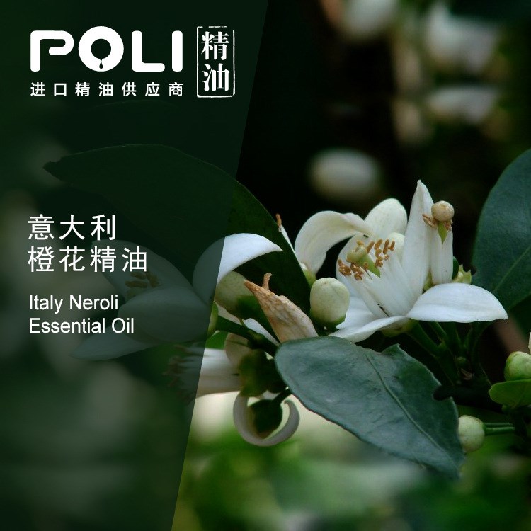 意大利 橙花精油 天然单方精油原料批发 【POLI/颇黎】