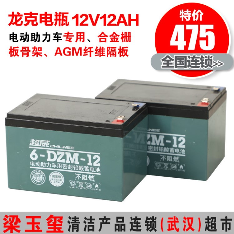 龍克清潔設(shè)備專用免維護(hù)電瓶12V/12AH DW520A DW1450A  T7用電瓶