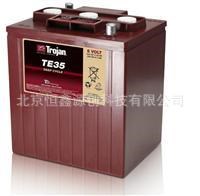 美國QTROJAN邱健蓄電池L16P/升降平臺