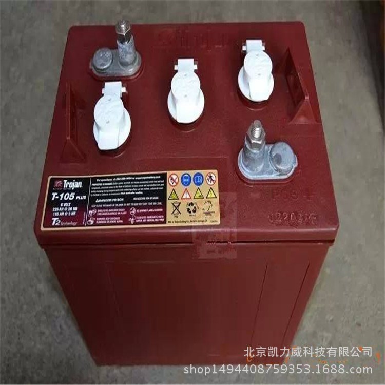 邱健蓄電池 T-105杠桿式升降機新能源應(yīng)急燈休閑型車電動車
