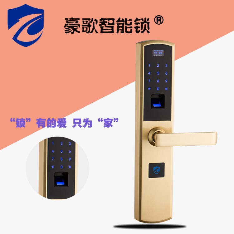 智能指紋鎖 廠家批發(fā)公寓指紋鎖手機APP感應(yīng)鎖 電子密碼鎖現(xiàn)貨