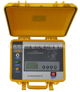 CT3920水內(nèi)冷發(fā)電機絕緣電阻測試儀