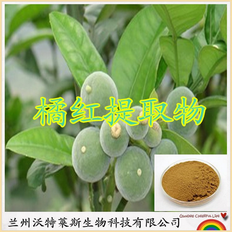 橘紅提取物 化橘紅提取物 食品原料 蘭州沃特萊斯生物廠家現(xiàn)貨包