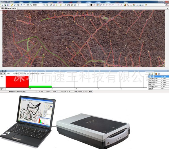 植物图像分析仪系统 植物根系分析仪