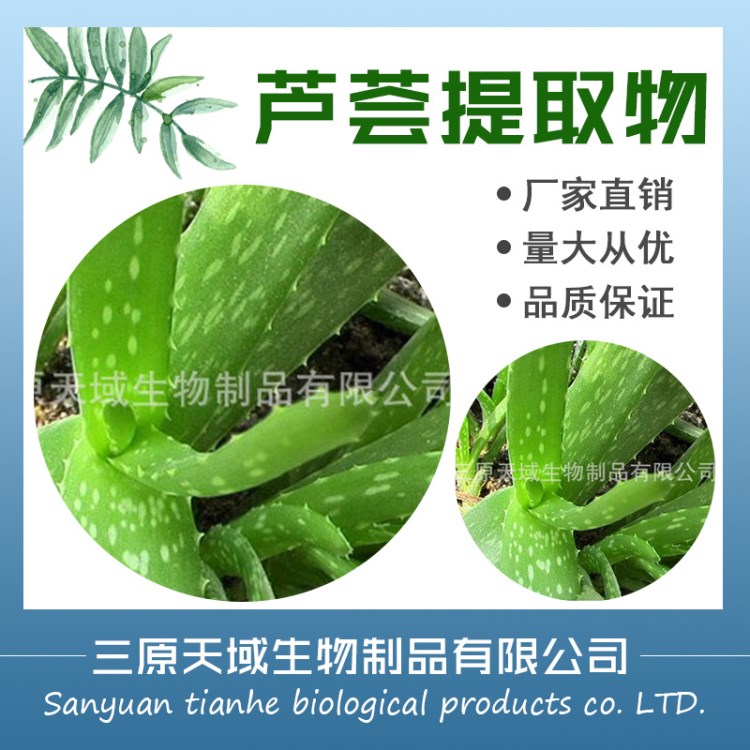 大量供應(yīng)蘆薈提取物(圖)